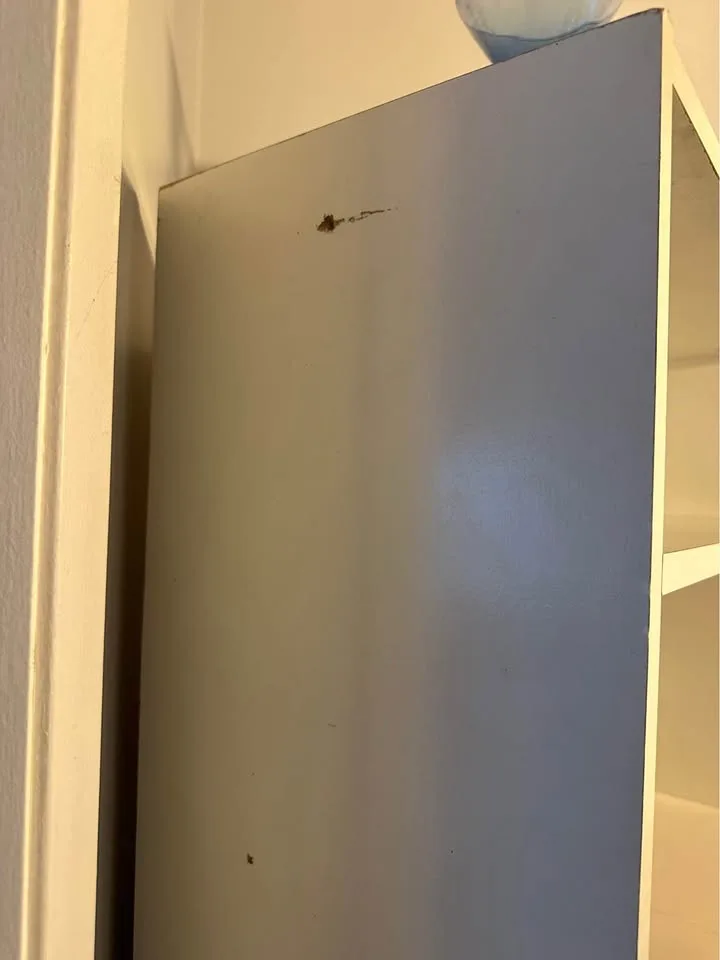 White armoire! image indicator(6)