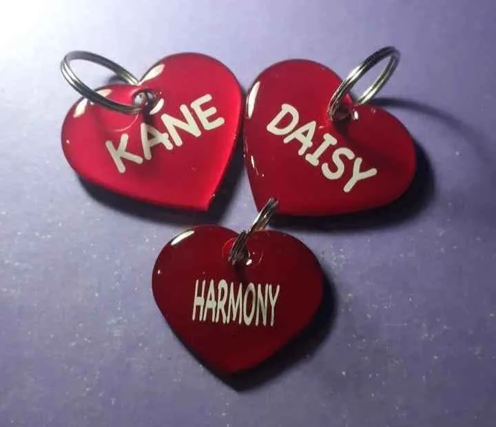 Custom handmade TY pet tags image indicator(4)