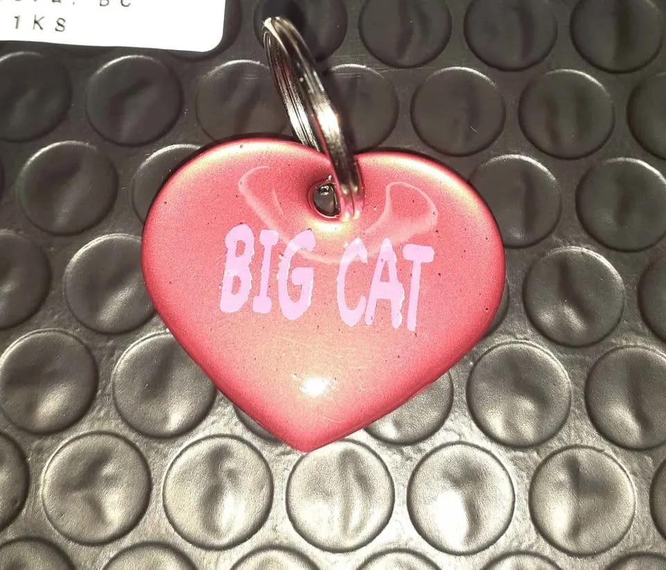 Custom handmade TY pet tags image indicator(8)