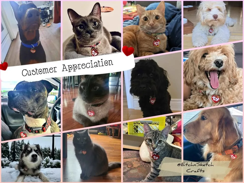 Custom handmade TY pet tags image indicator(9)
