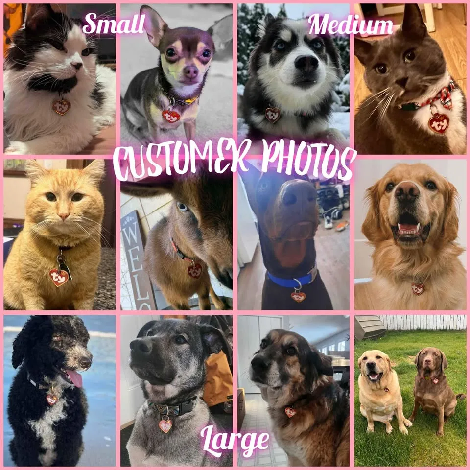 Custom Pet Tags image indicator(10)