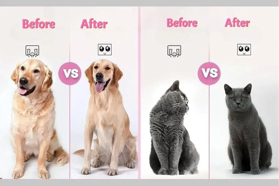 Pet Grooming Brush For Dogs, Cats Rabbits image indicator(5)