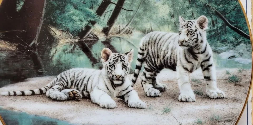 Cat and Racoon Collector Plates image indicator(8)