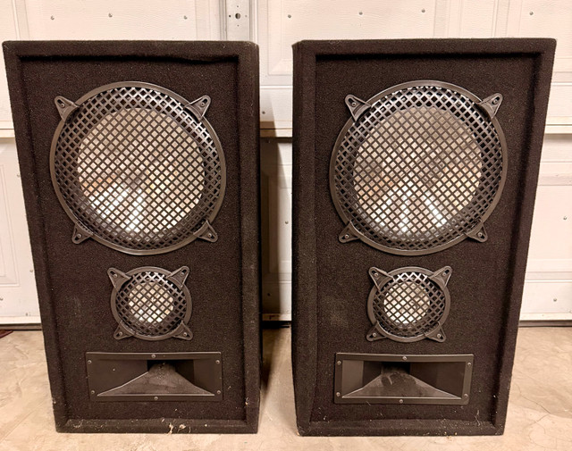 DJ Cabinet Speakers 30” Tall Set of Two