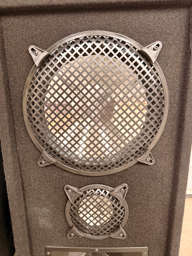 DJ Cabinet Speakers 30” Tall Set of Two - photo 3