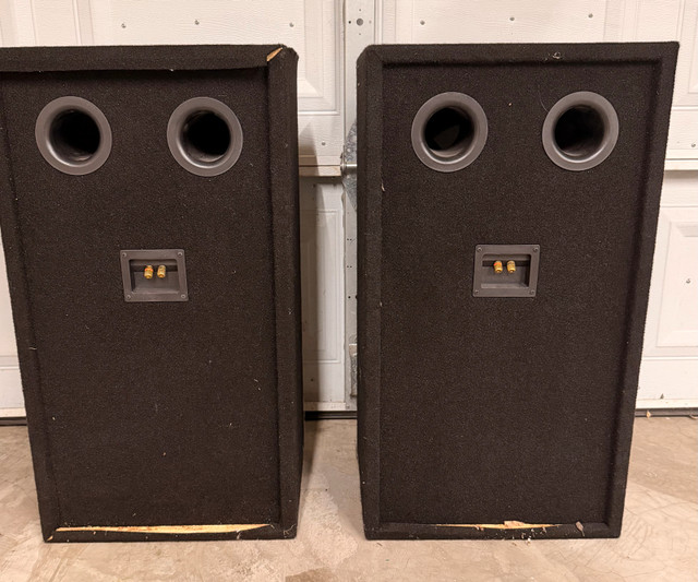 DJ Cabinet Speakers 30” Tall Set of Two - photo 5