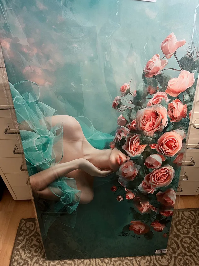 Canvas Wall Art image indicator(3)