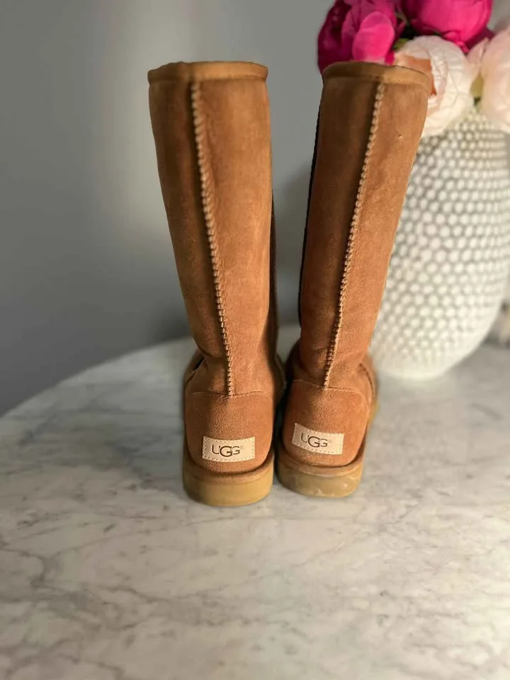 UGG Boots - Tall BRAND NEW image indicator(4)
