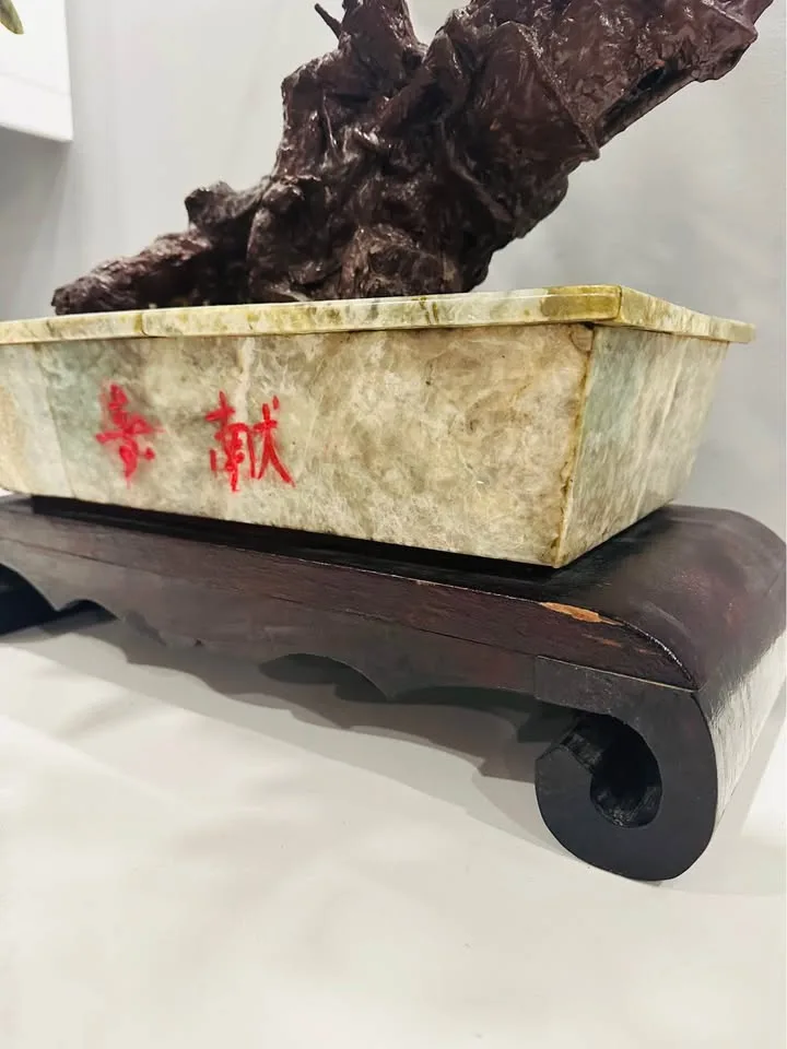 Natural Jade Peach Tree-玉桃樹 *MARKHAM* image indicator(3)