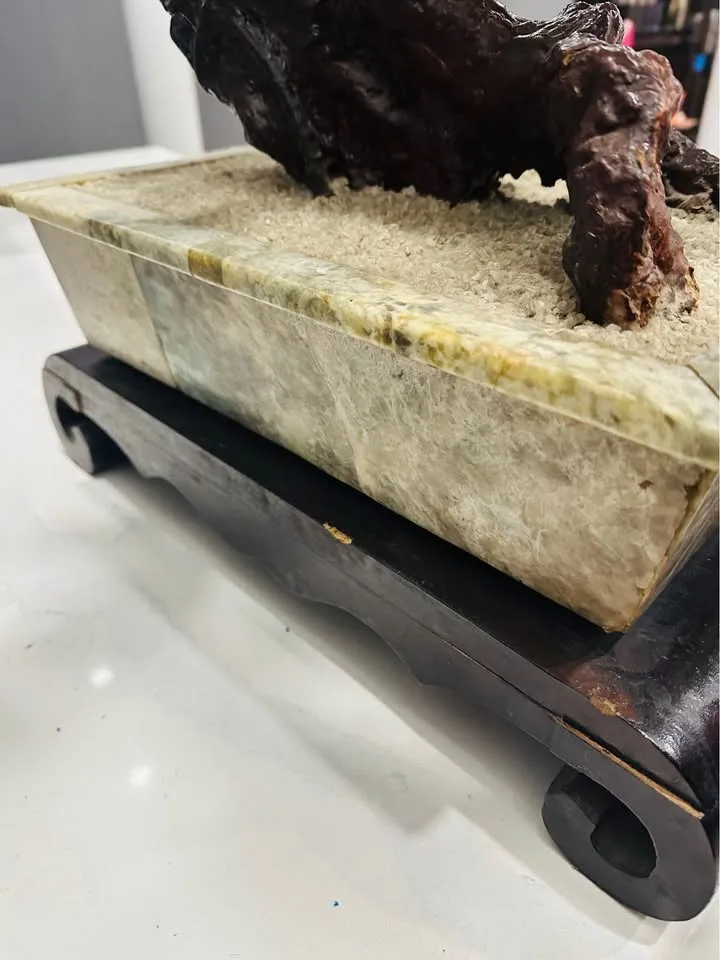 Natural Jade Peach Tree-玉桃樹 *MARKHAM* image indicator(5)