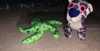 Starfish Stuffed Toy Green Cheetah Purple Stuffed Toy
