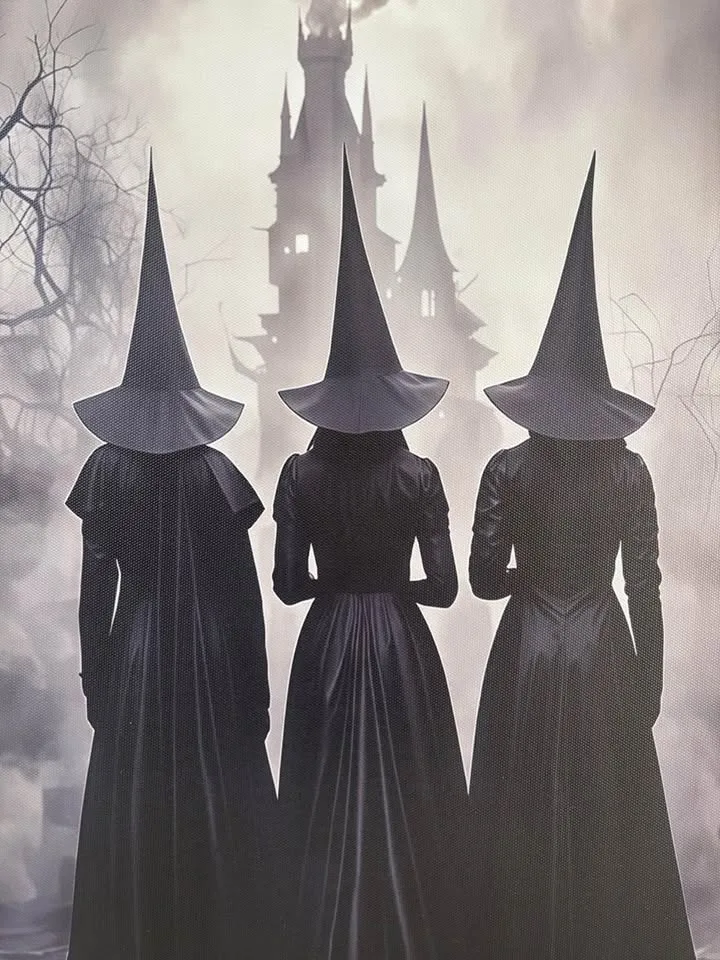 Amazing Three Witches Canvas Wall Art-Ready To Hang Art Work image indicator(5)