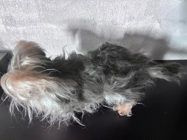Realistic Puppy plush - photo 4