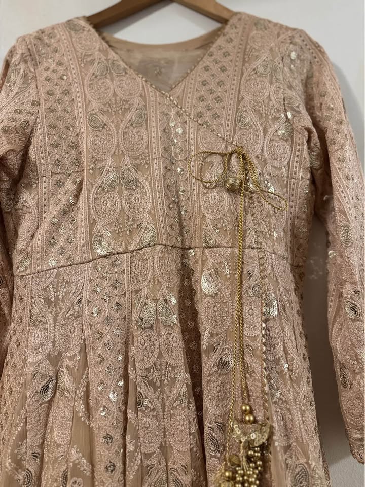 Maxi/gown Pakistani Indian wear formal fanc. PRICE NEGOTIABLE - photo 2