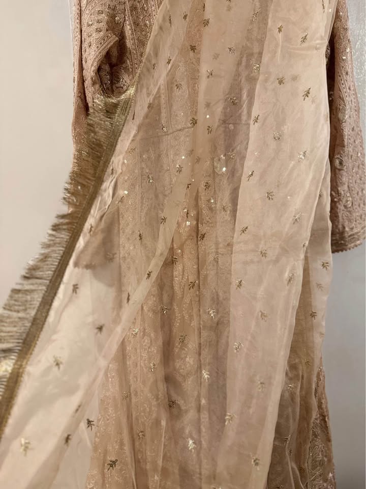 Maxi/gown Pakistani Indian wear formal fanc. PRICE NEGOTIABLE - photo 3