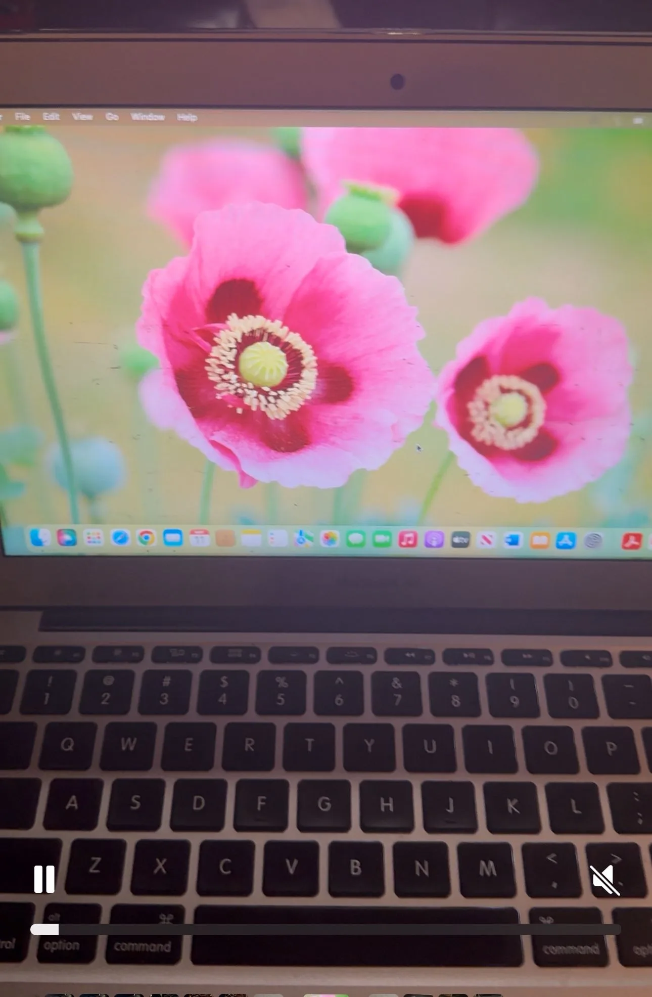 Macbook air 2015 11” Inches image indicator(4)