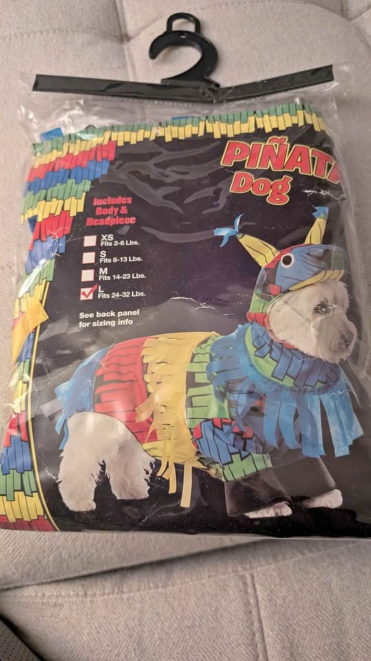 Dog Halloween costume