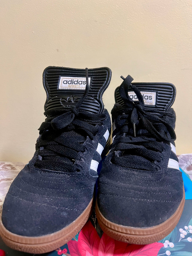 Adidas Busenitz