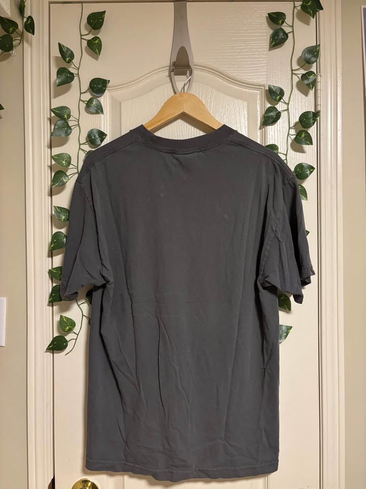 Y2K nike phys ed tee shirt - photo 3
