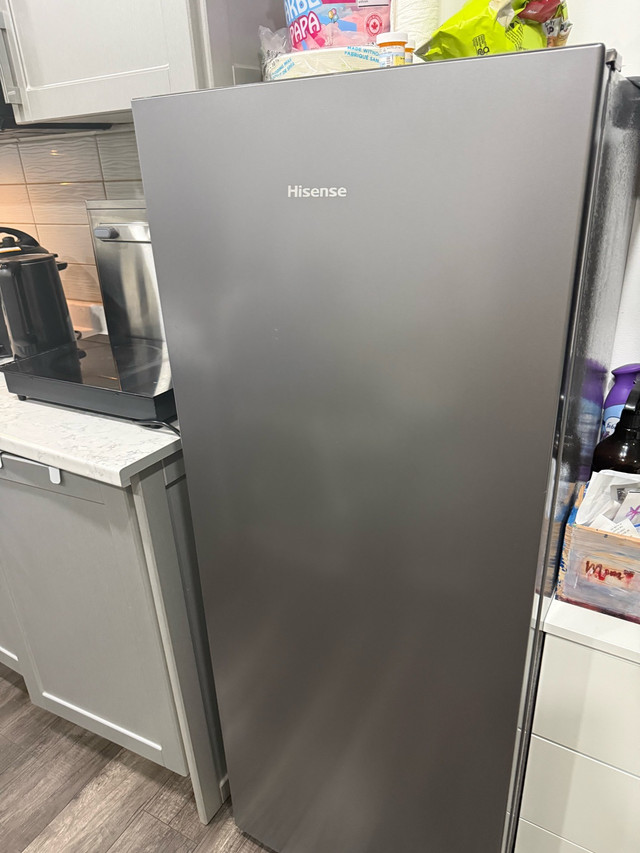 Hisense 21.7-in 6 cu.ft. Upright Freezer - photo 2