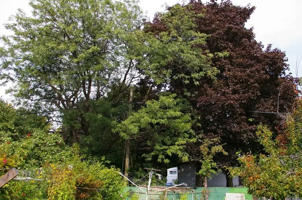 Pentax K100 D 6.1MP Digital SLR Camera with Pentax 18-55 lens image indicator(6)