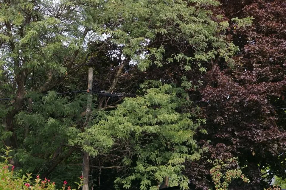 Pentax K100 D 6.1MP Digital SLR Camera with Pentax 18-55 lens image indicator(10)