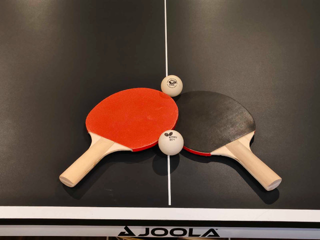 Two PingPong paddles with 2 Butterfly balls