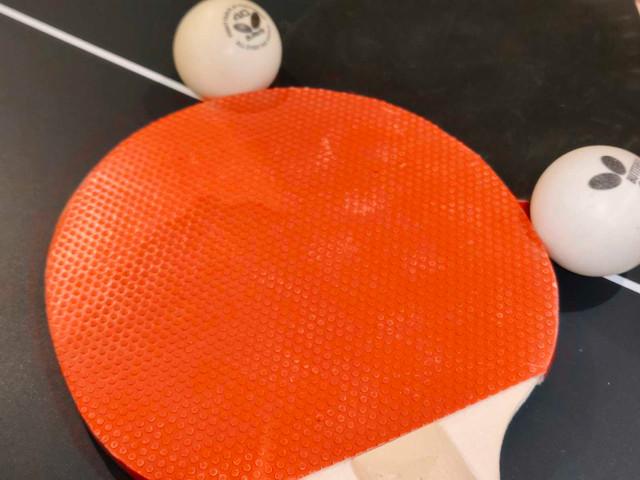 Two PingPong paddles with 2 Butterfly balls - photo 2