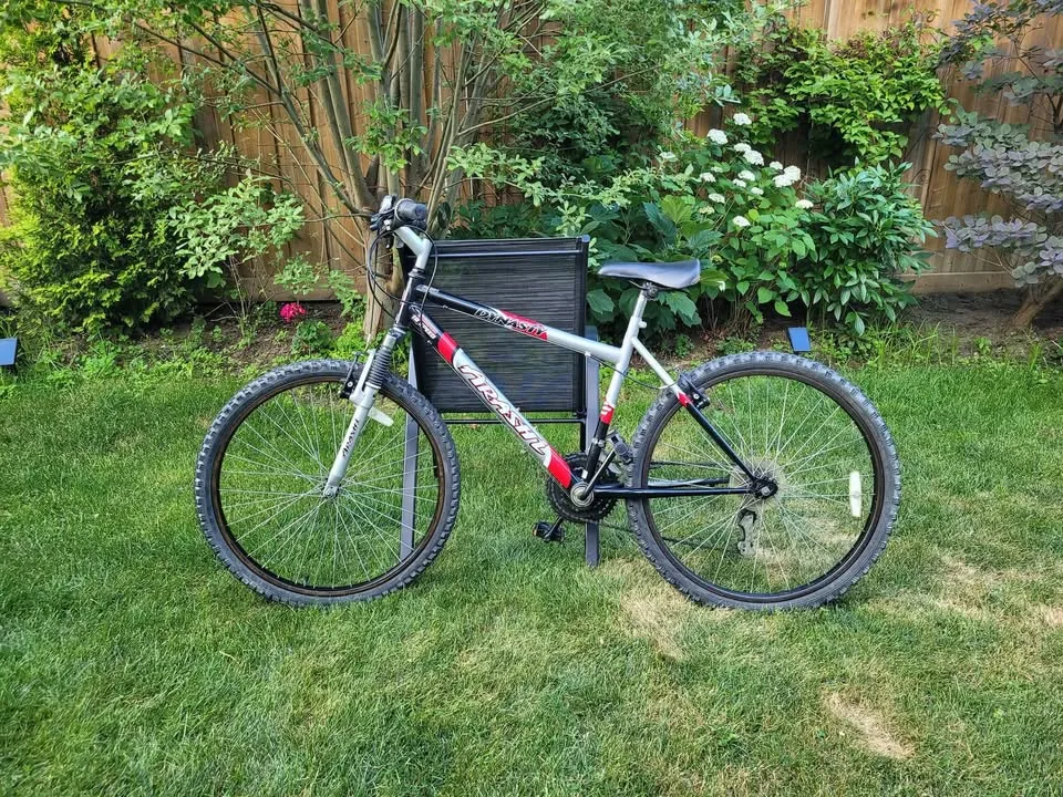 Bike Mountain 26 inch wheel for adults image indicator(3)