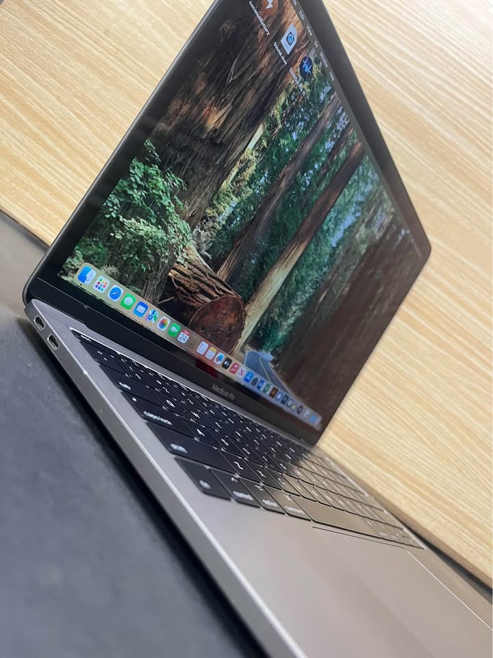 Apple MacBook Pro - 100% working - photo 2