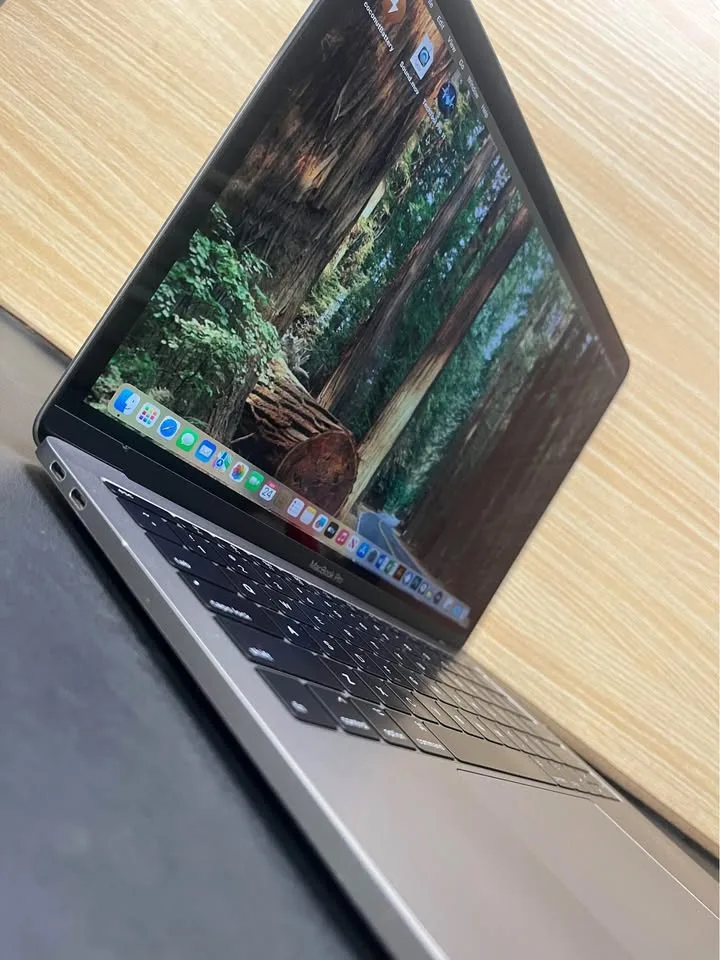 Apple MacBook Pro - 100% working image indicator(2)