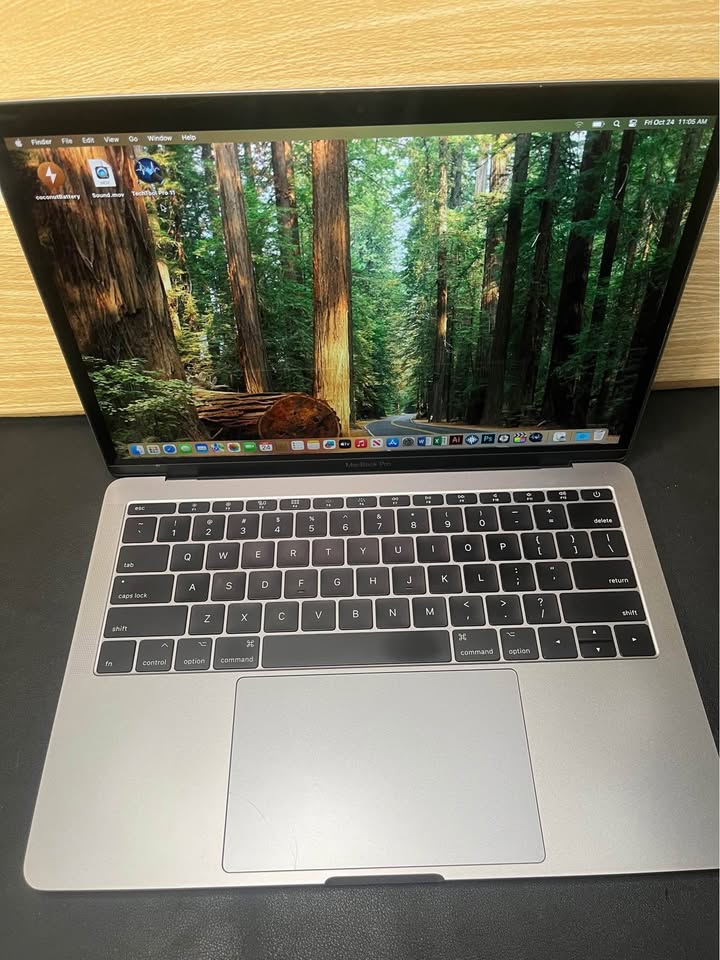 Apple MacBook Pro - 100% working - photo 3