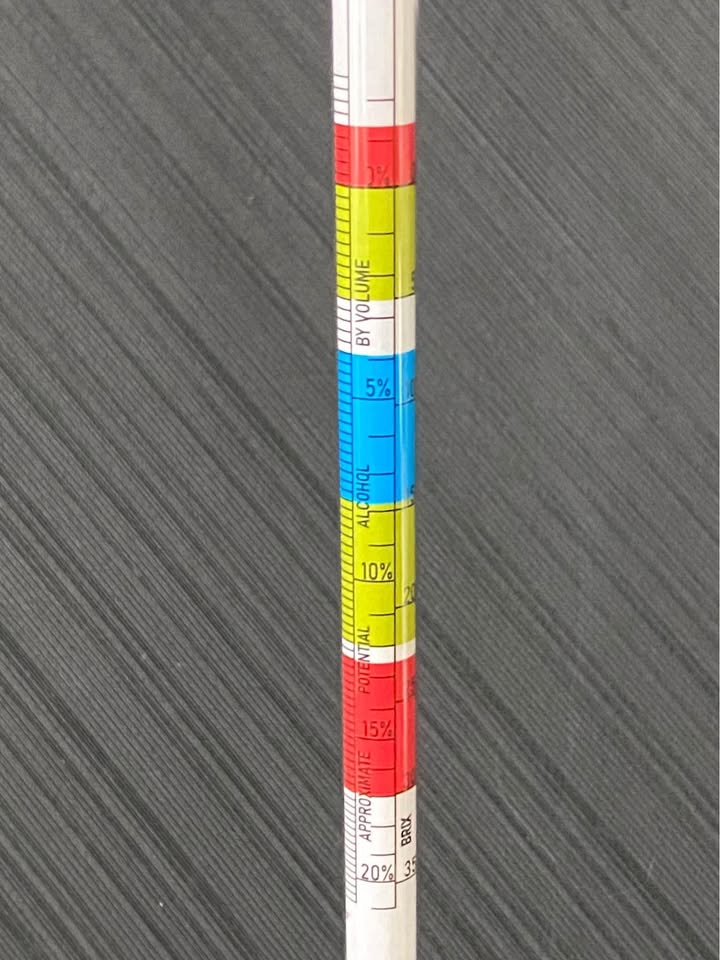 Hydrometer & 250mL Graduated Cylinder - photo 3