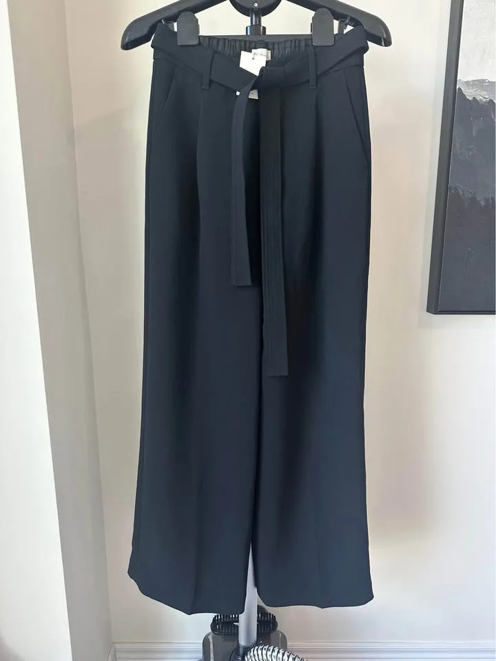 Aritzia Shimmy Pant Size 2, 6 NWT image indicator(4)