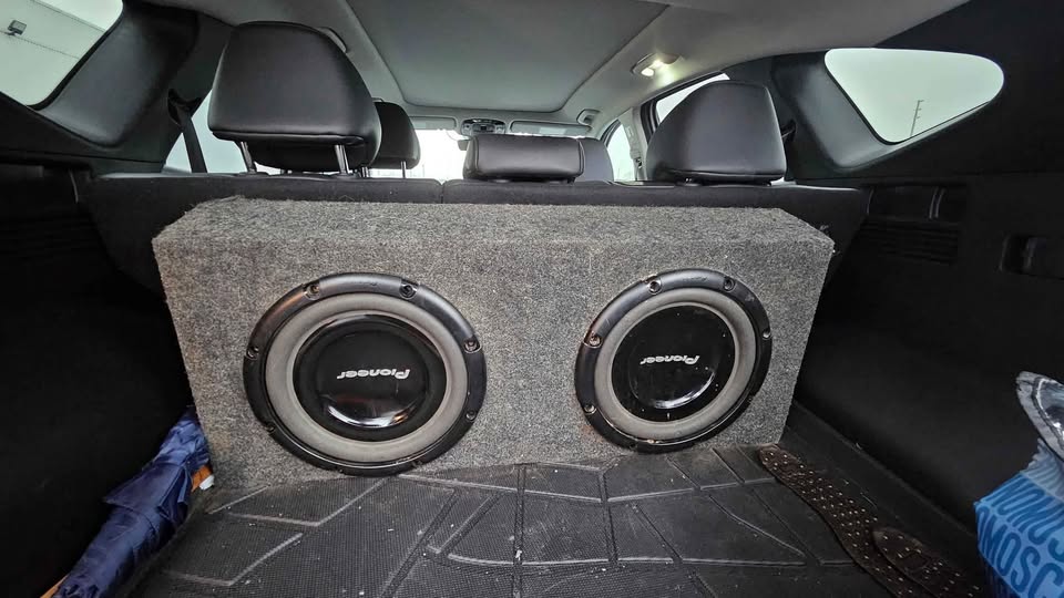 Pioneer Dual Subwoofer - photo 2