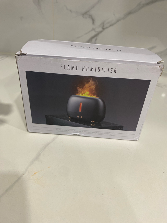 Flame Humidifier! - photo 4
