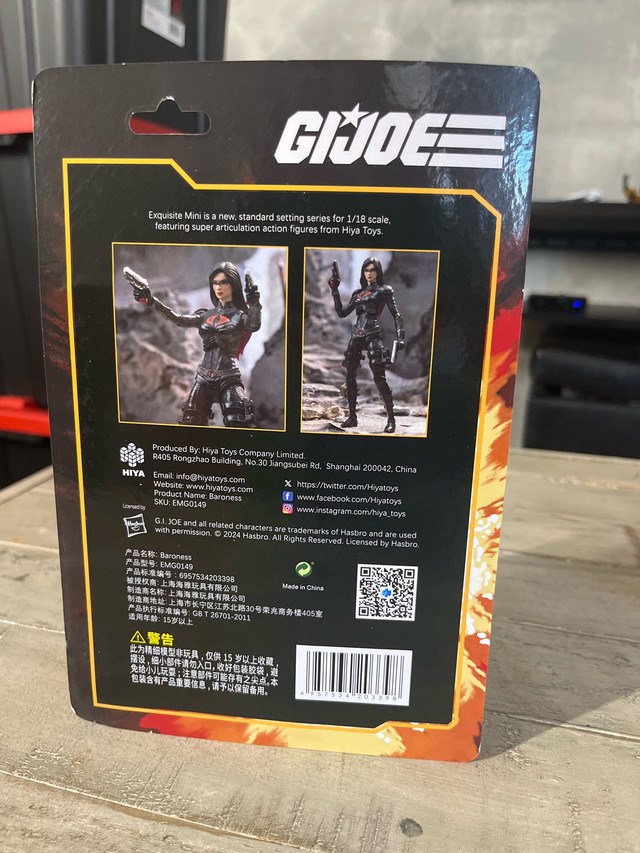 GI Joe Baroness - photo 3