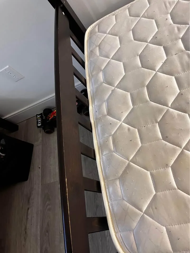 Dorel Twin Over Twin Bunk Bed and converted 02 twin beds image indicator(7)