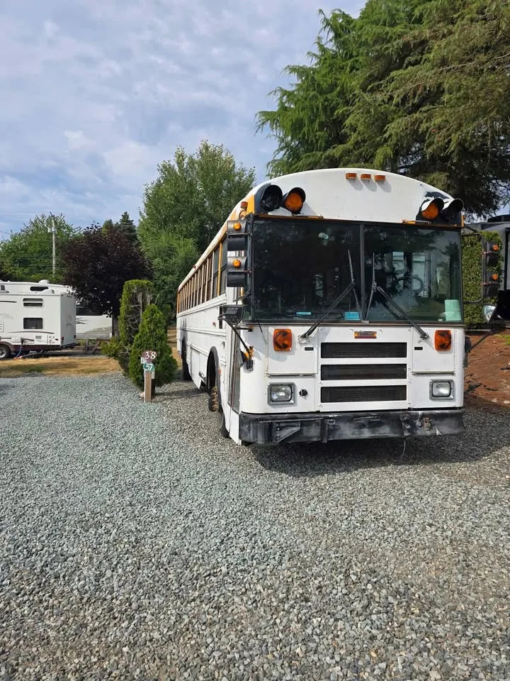 2009 Thomas Flatnose School Bus image indicator(2)