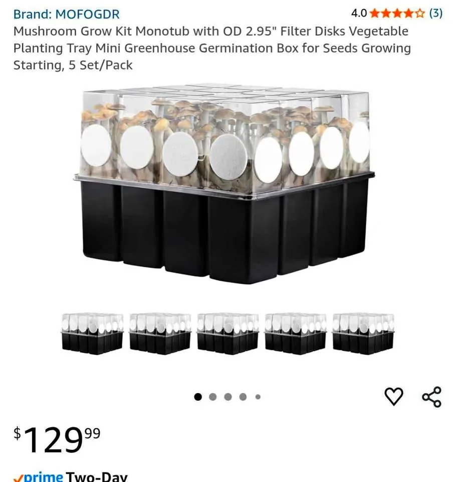 Mushroom Grow Kit - New thumbnail