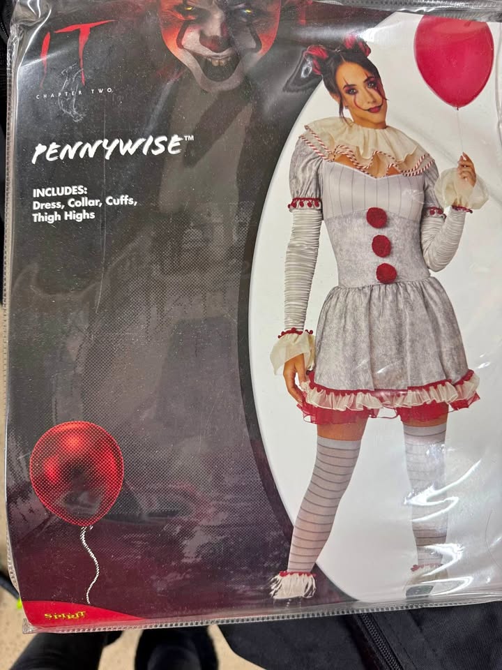 Ladies Pennywise Costume