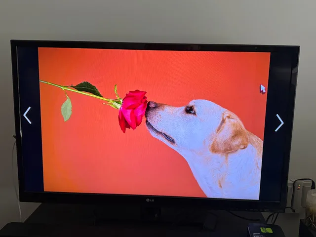 LG 42” Television image indicator(5)