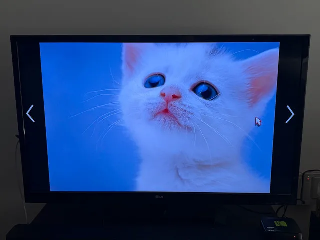 LG 42” Television image indicator(6)