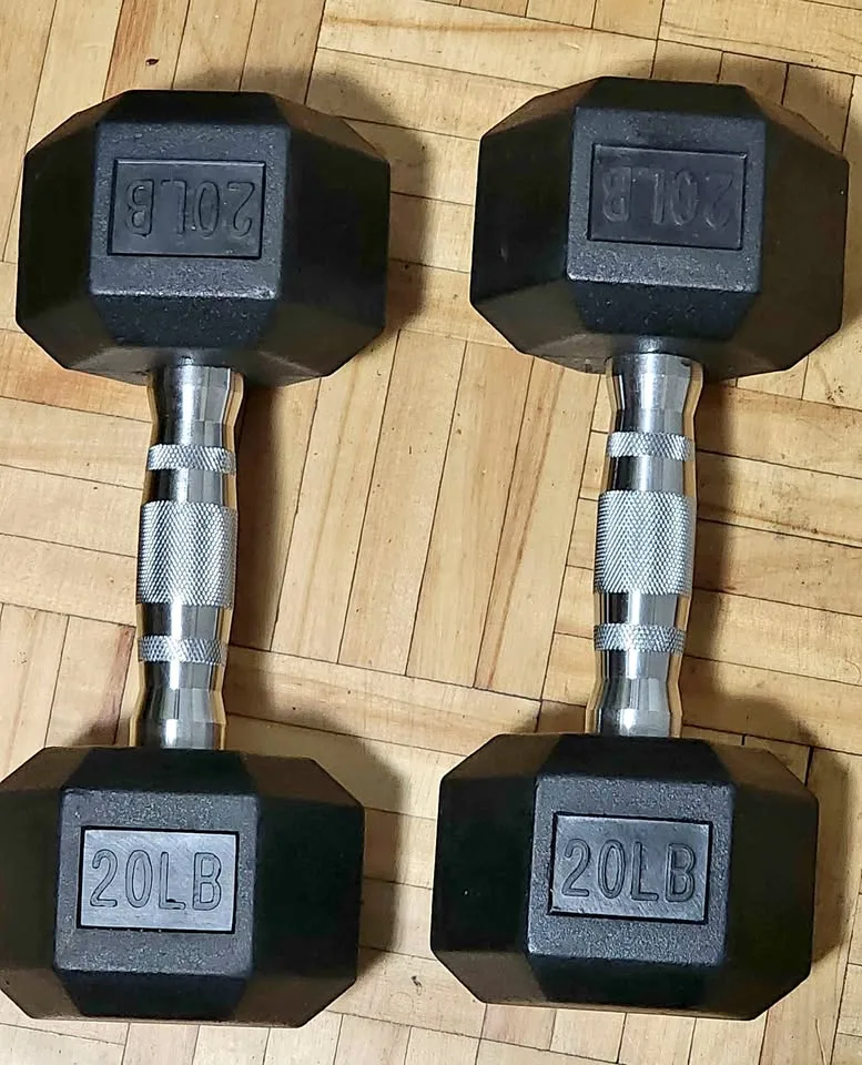 Pair of 20 lb Dumbbells – Great Condition