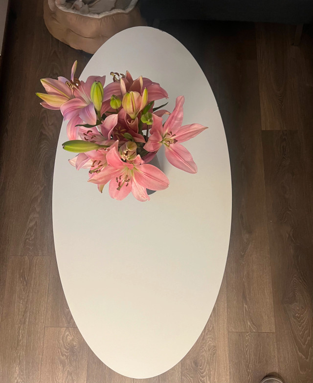 2-Tier White Coffee Table for Living Room - photo 4