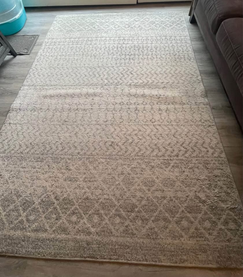 Area Rug — 7’7” x 5’3” - photo 2