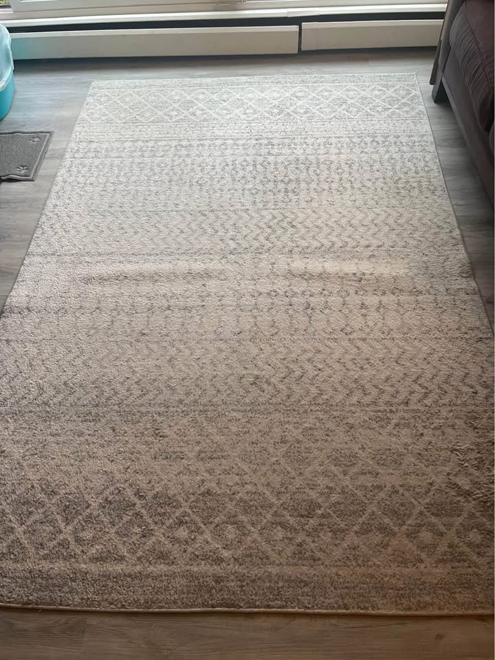 Area Rug — 7’7” x 5’3” - photo 3