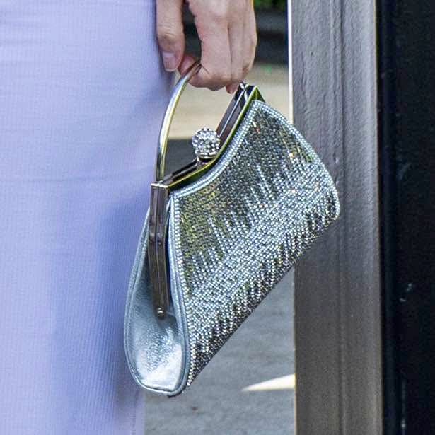 Sparkly Purse