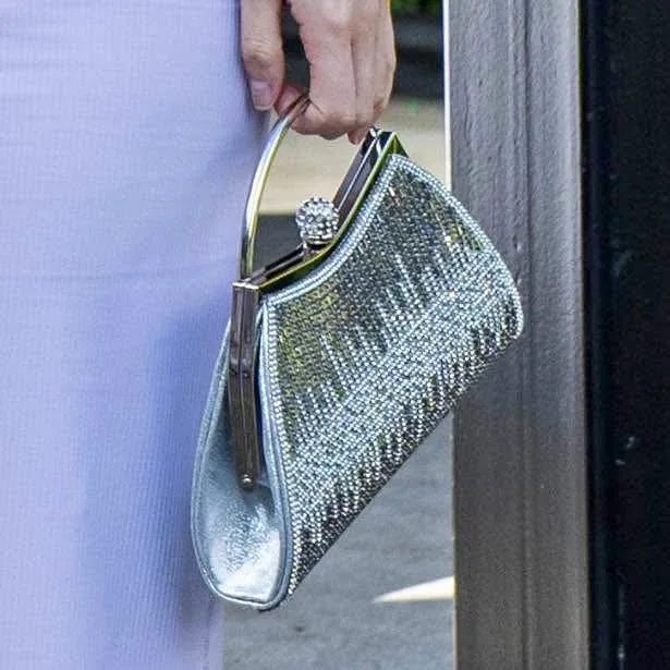 Sparkly Purse thumbnail