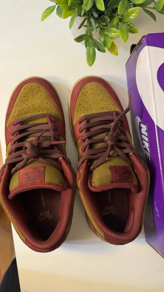 Nike SB Dunk Low Pro Dark Team Red image indicator(2)